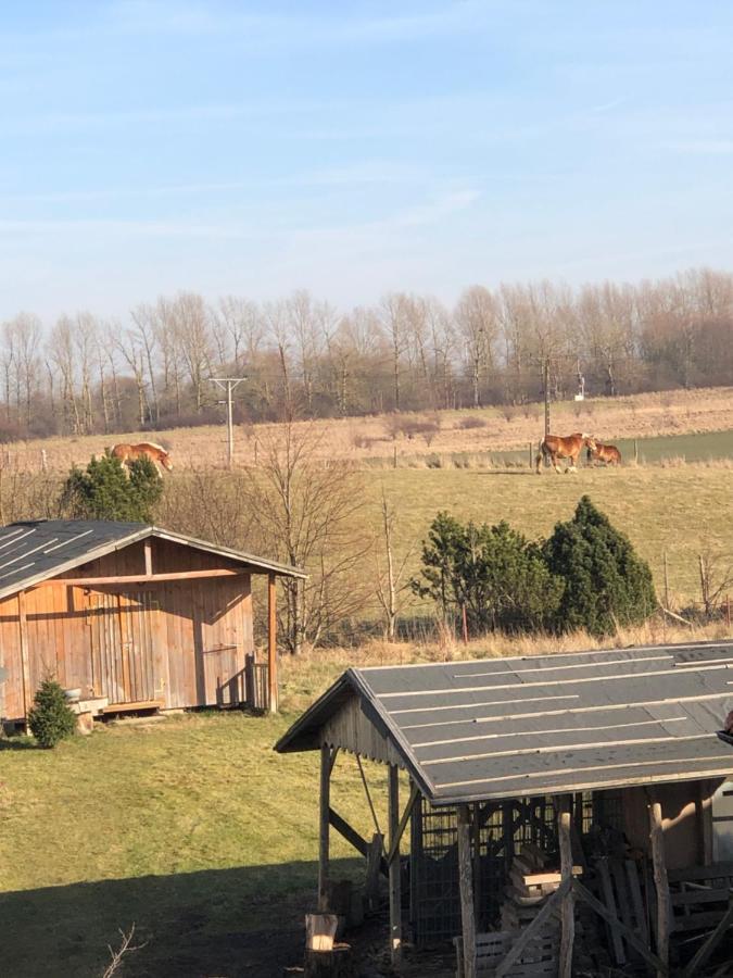 Apartament U Maksa W Slonecznych Apartamentach Ustronie Morskie Kültér fotó